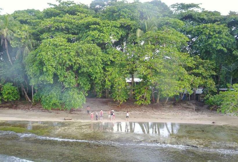 Номер Стандарт, Oasis