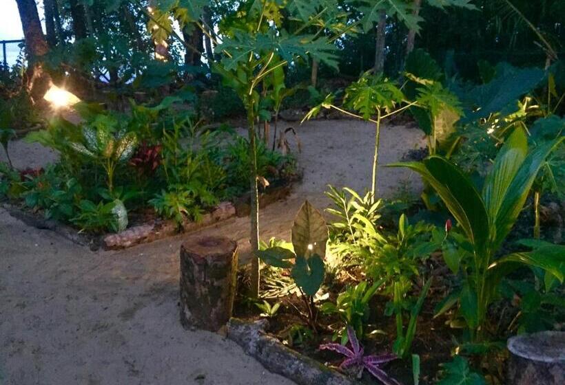 Номер Стандарт, Oasis