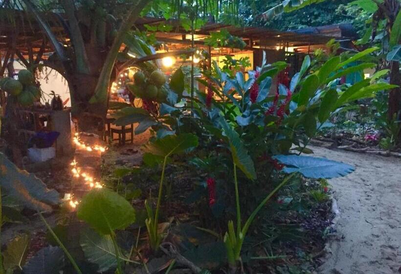 Номер Стандарт, Oasis