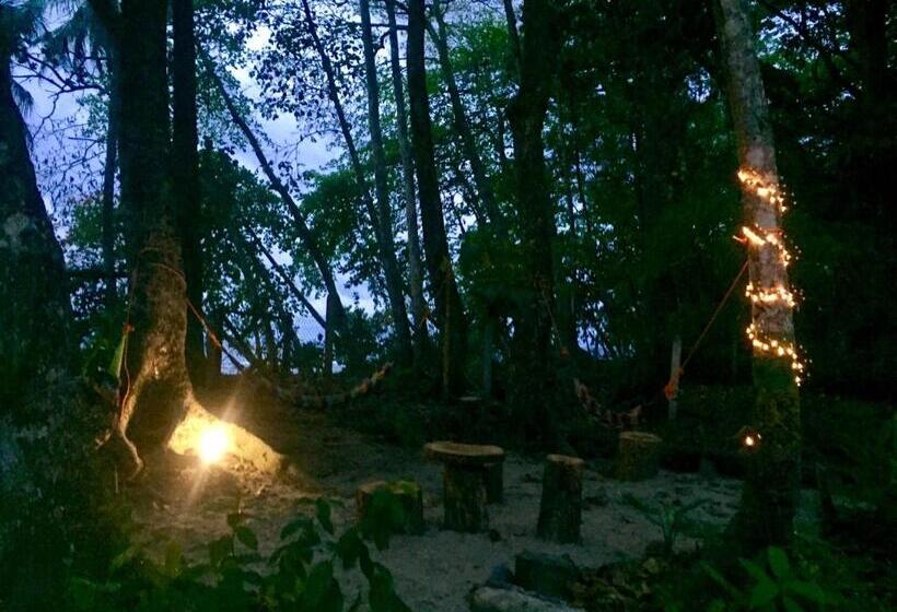 Номер Стандарт, Oasis