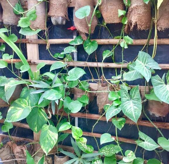 Номер Стандарт, Oasis