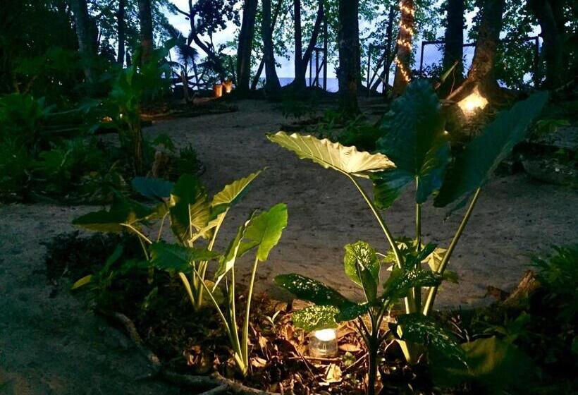 Номер Стандарт, Oasis