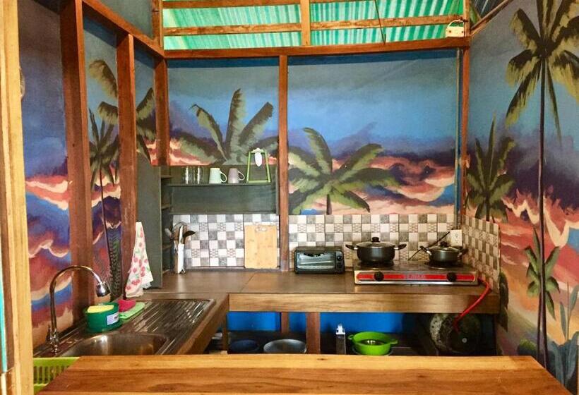 Бунгало Стандарт, Oasis