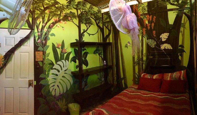 Номер Стандарт, Oasis