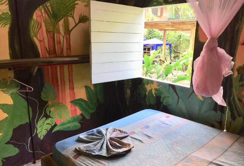 Номер Стандарт, Oasis