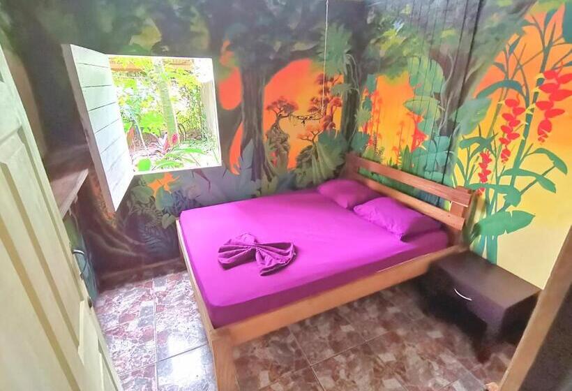 Номер Стандарт, Oasis