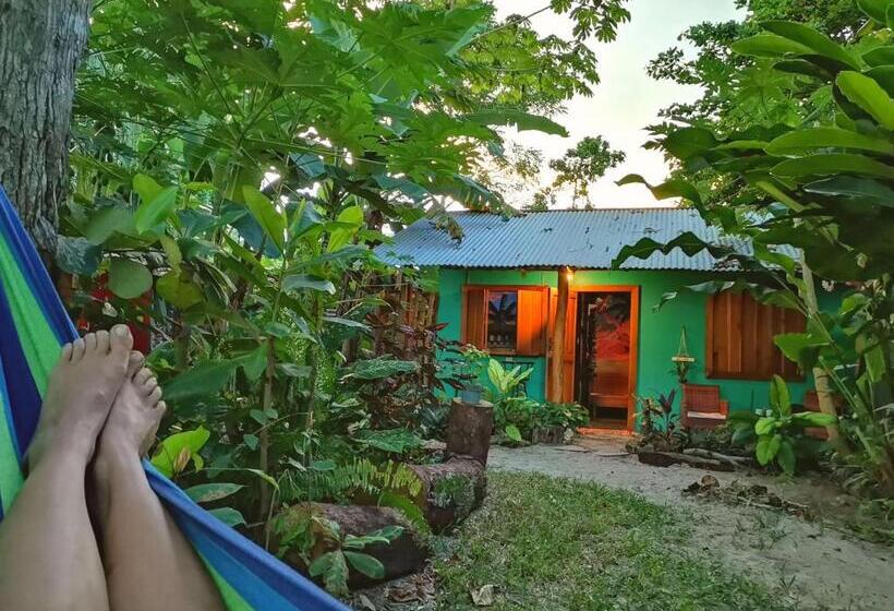 Бунгало Стандарт, Oasis