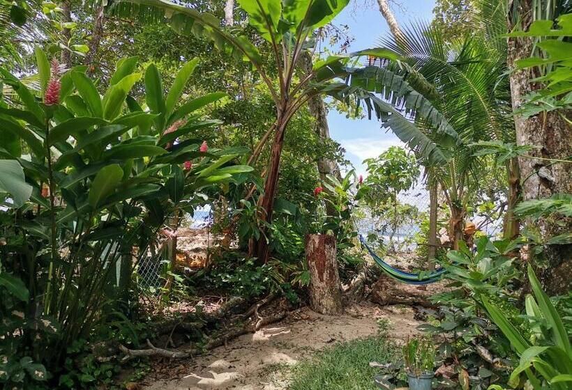 Бунгало Стандарт, Oasis