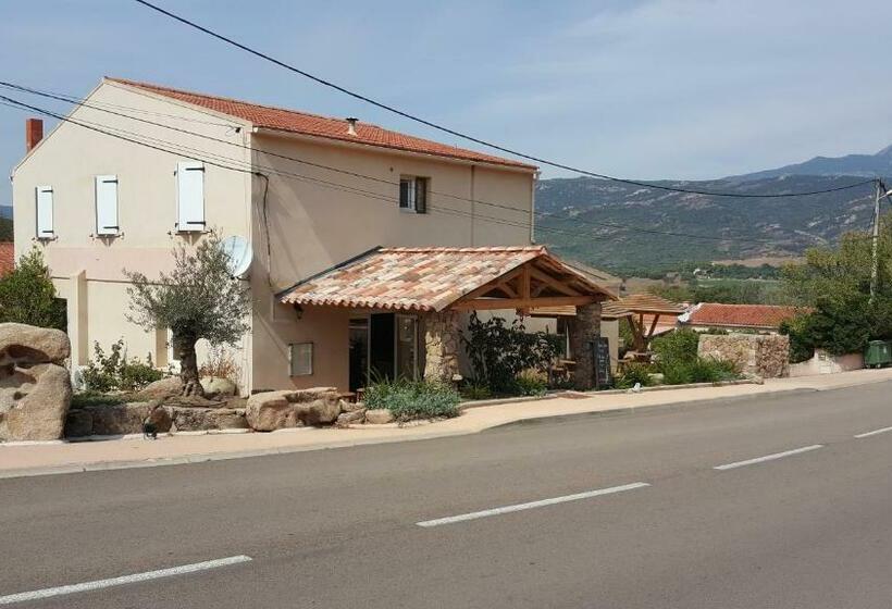 スタンダードルーム, Macchie E Fiori