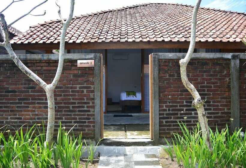 اتاق استاندارد با چشم‌انداز استخر, Shankara Borobudur