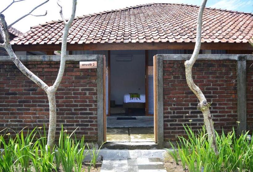 اتاق استاندارد با چشم‌انداز استخر, Shankara Borobudur