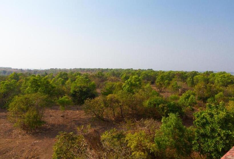 １ベッドルームアパートメント, Westwood Residence Goa   The Boutique