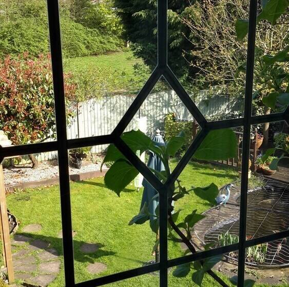 חדר סטנדרט, The School House