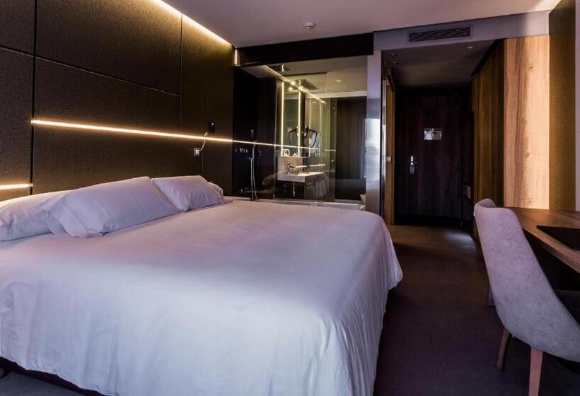 스탠다드 룸, & Spa Ciudad De Binéfar