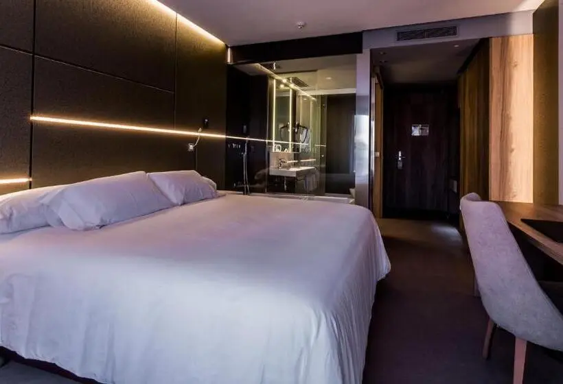 Standard-huone, & Spa Ciudad De Binéfar