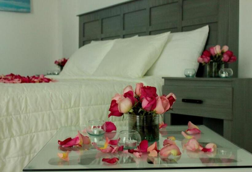 חדר סטודיו סטנדרד, Grand Gardenia