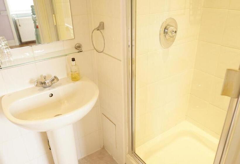 غرفة قياسية سرير كينج, Regency