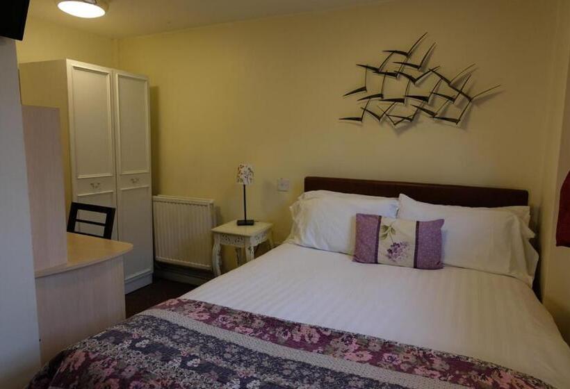 استودیوی استاندارد, The Lawns