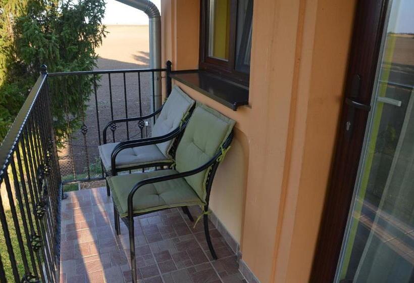 Стандартный Номер Кровать Кинг, Garden Vendégház Makó