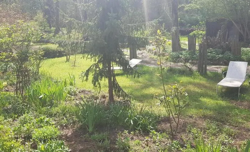 テラス付きスタンダードルーム, Le Jardin De Saint Jean