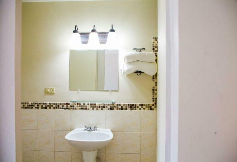 标准间, Cosmos Don Carlos