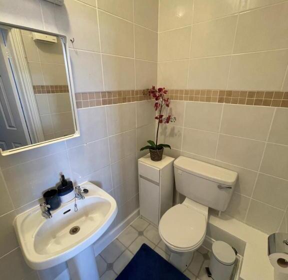 חדר סטנדרט לשלושה, Silver Eagle