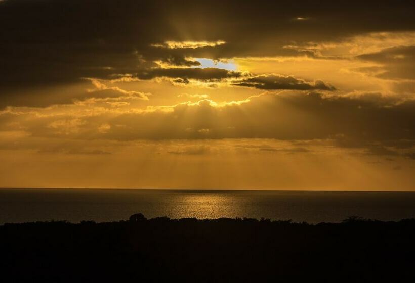 اتاق خانوادگی, West Coast Inn S