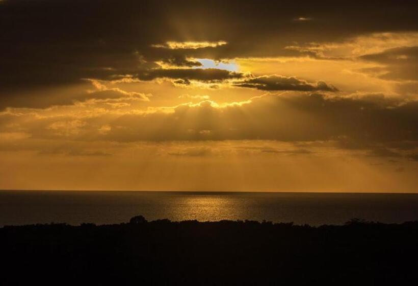 اتاق استاندارد چهارنفره با بالکن, West Coast Inn S