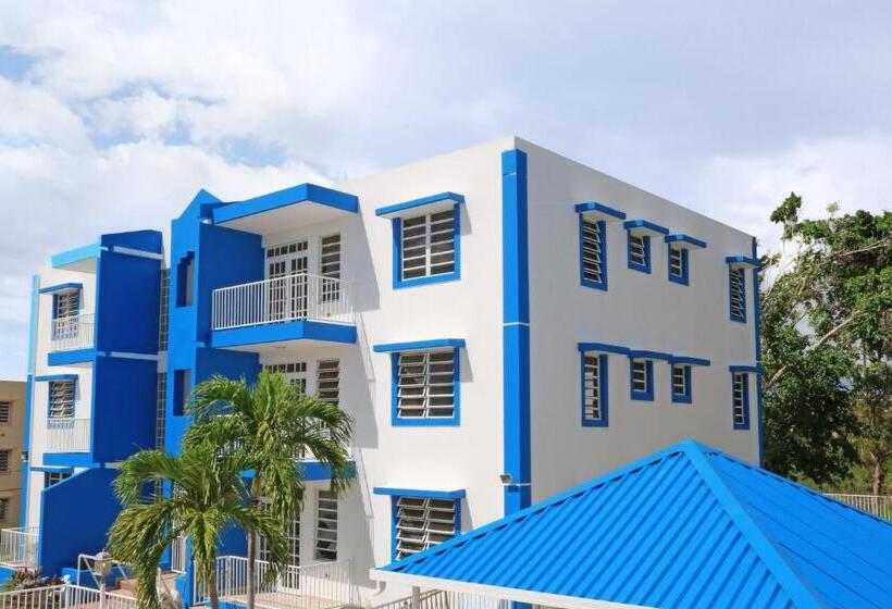 آپارتمان 1 خوابه با چشم‌انداز دریا, West Coast Inn S