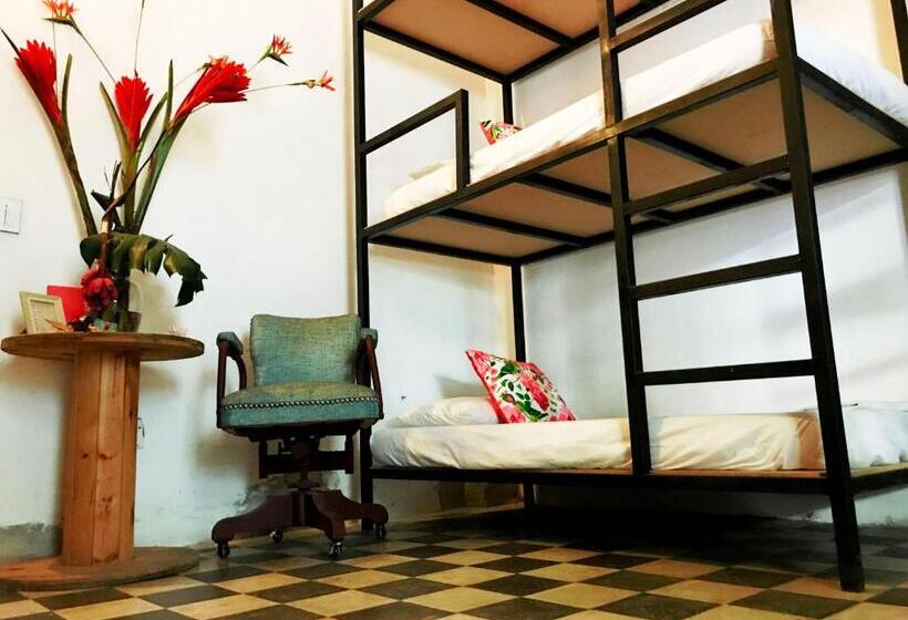 מיטה בחדר משותף, Casa La Bella Samaria Boutique