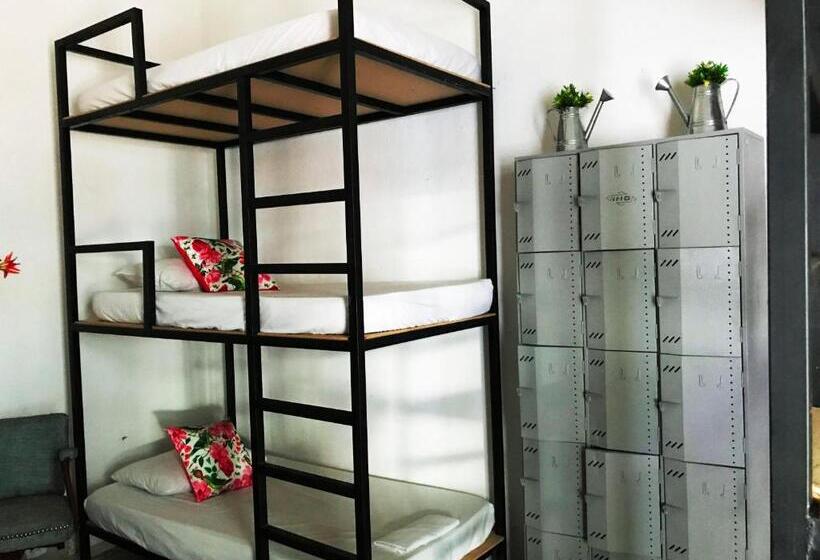 מיטה בחדר משותף, Casa La Bella Samaria Boutique