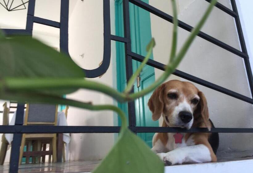 חדר משפחתי, Casa La Bella Samaria Boutique