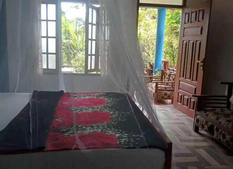 اتاق لوکس, The Horizon Root Inn