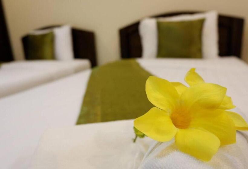 スタンダードルーム, Nanbaankhun