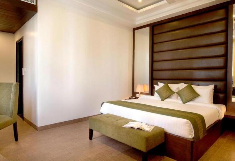 标准间带山景, The Livin