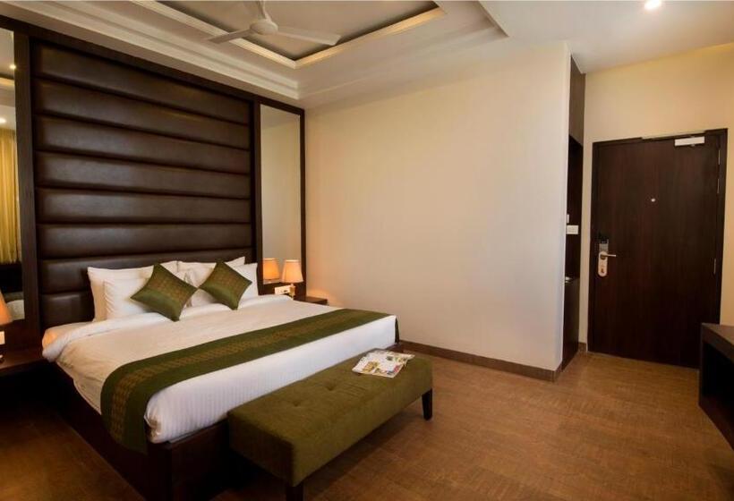 标准间带山景, The Livin