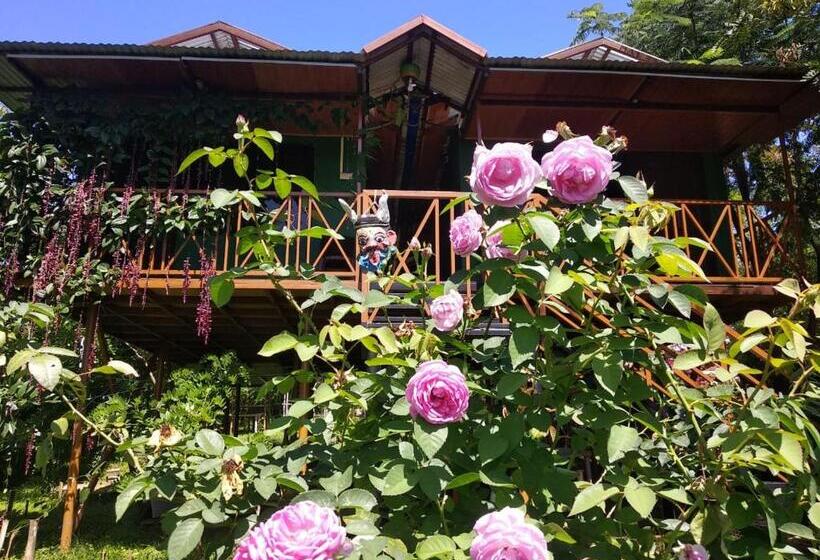 Люкс с Балконом, Mist Valley