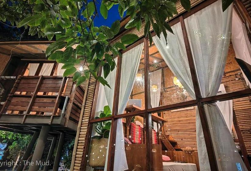 スタンダードルーム, The Mud Eco