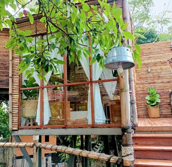 スタンダードルーム, The Mud Eco