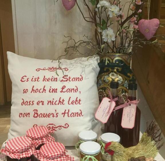 バルコニー付き1ベッドルームアパートメント, Trixlhof