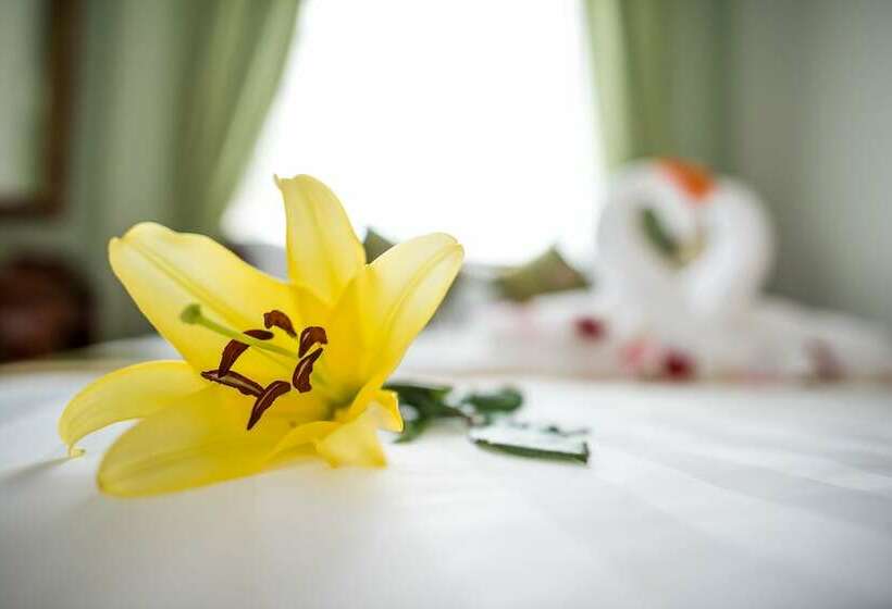 디럭스 룸, Ny Ka Smy