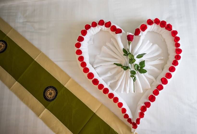 스탠다드 싱글 룸, Ny Ka Smy