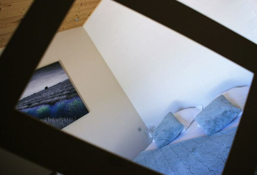 غرفة قياسية, What Else