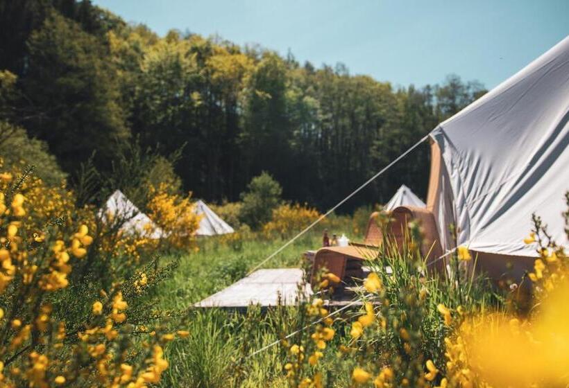 חדר סטנדרט, Daft Boutique