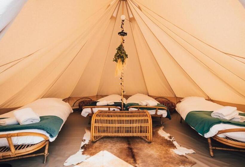 חדר סטנדרט, Daft Boutique