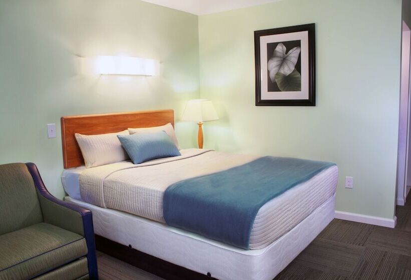 Номер Стандарт, Chateau Suites