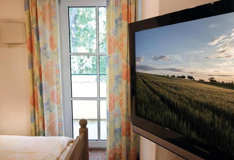 Camera Standard, Promenade