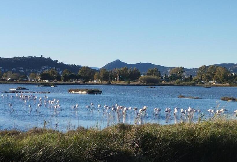 סטודיו סטנדרטי נוף לגינה, Le Surplage