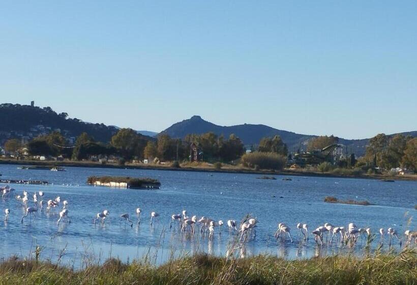 סטודיו סטנדרטי נוף לגינה, Le Surplage