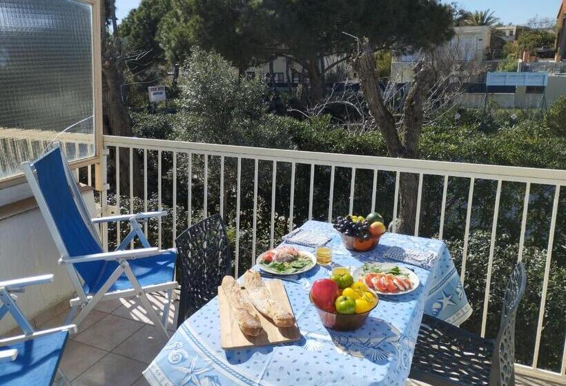 סטודיו סטנדרטי נוף לגינה, Le Surplage